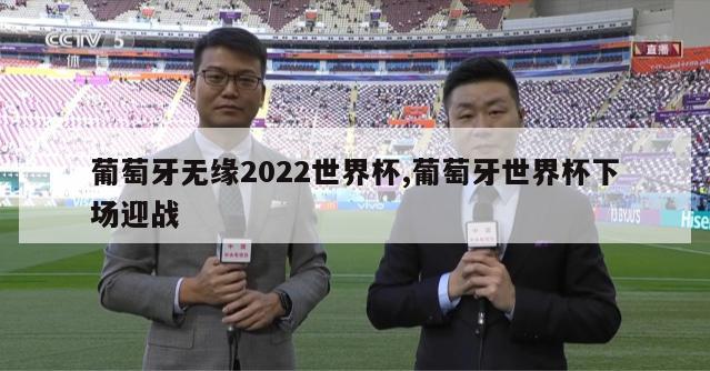 葡萄牙无缘2022世界杯,葡萄牙世界杯下场迎战