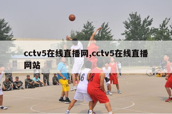 cctv5在线直播网,cctv5在线直播网站