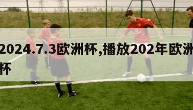 2024.7.3欧洲杯,播放202年欧洲杯