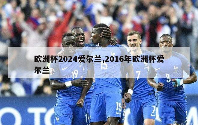 欧洲杯2024爱尔兰,2016年欧洲杯爱尔兰