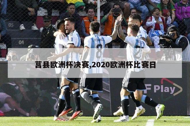 莒县欧洲杯决赛,2020欧洲杯比赛日