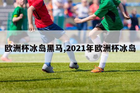 欧洲杯冰岛黑马,2021年欧洲杯冰岛