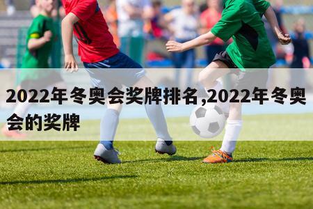 2022年冬奥会奖牌排名,2022年冬奥会的奖牌