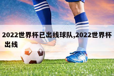 2022世界杯已出线球队,2022世界杯 出线